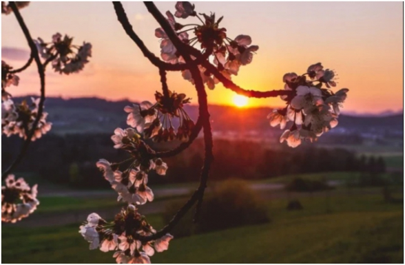 Ապրիլին Երևանում օդի առավելագույն ջերմաստիճանը կարող է հասնել +28-ից մինչև +30 աստիճանի. Սուրենյան